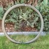 Giant SLR 1 36 Disc Carbon Tubeless Laufrad Vorn